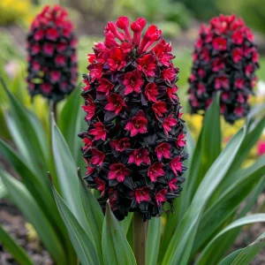 Гиацинт Джем Стоун купить по цене от 2099р. в интернет-магазине «Посадика» с доставкой почтой в в Саянске и по всей России – [изображение №1].