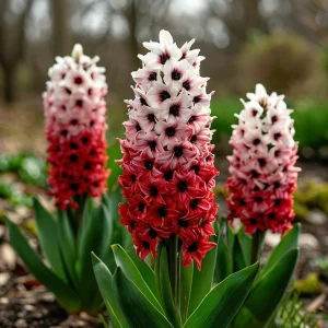 Гиацинт Скай Гарден купить по цене от 2099р. в интернет-магазине «Посадика» с доставкой почтой в в Саянске и по всей России – [изображение №1].